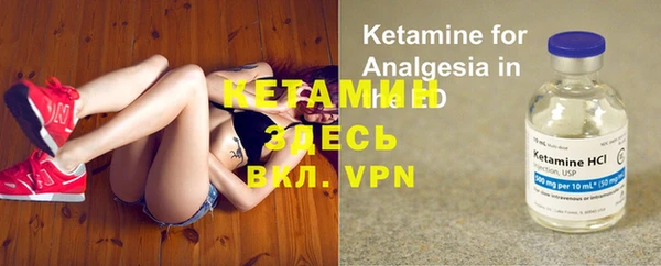 стаф Абинск