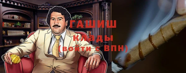 индика Алексин