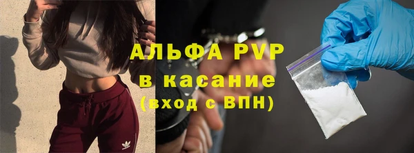 стаф Абинск