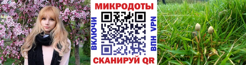 hydra как войти  Тотьма  Галлюциногенные грибы Cubensis 